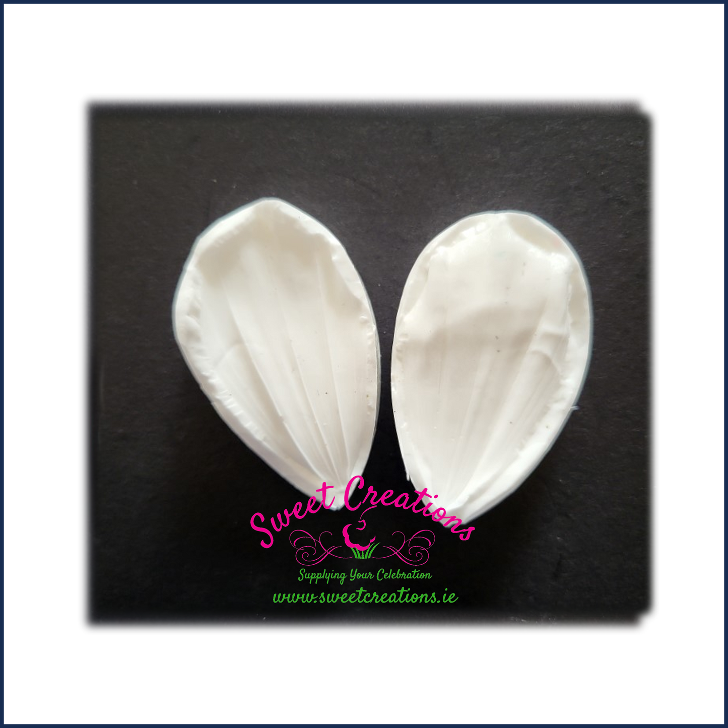 Cosmos Petal Veiners by Miriam Pearson