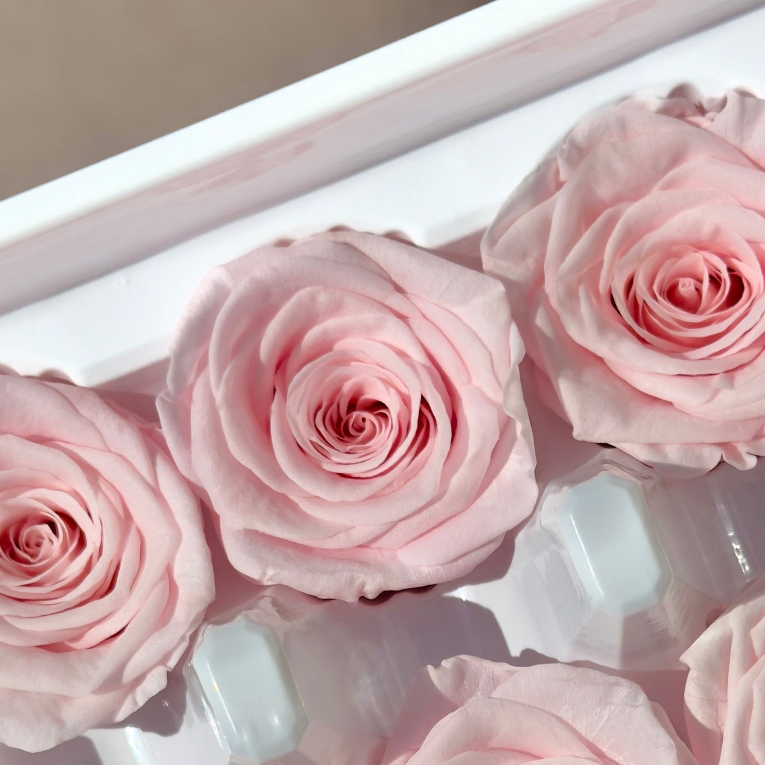 Preserved Flowers