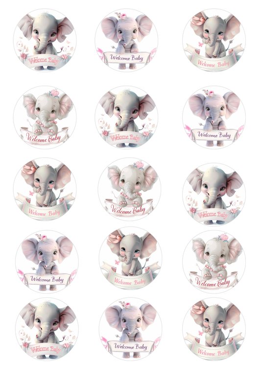 New Baby Girl Cake Toppers x 15