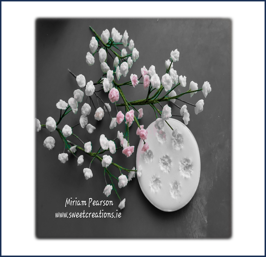 Gypsophilia Flower Mould by Miriam Pearson