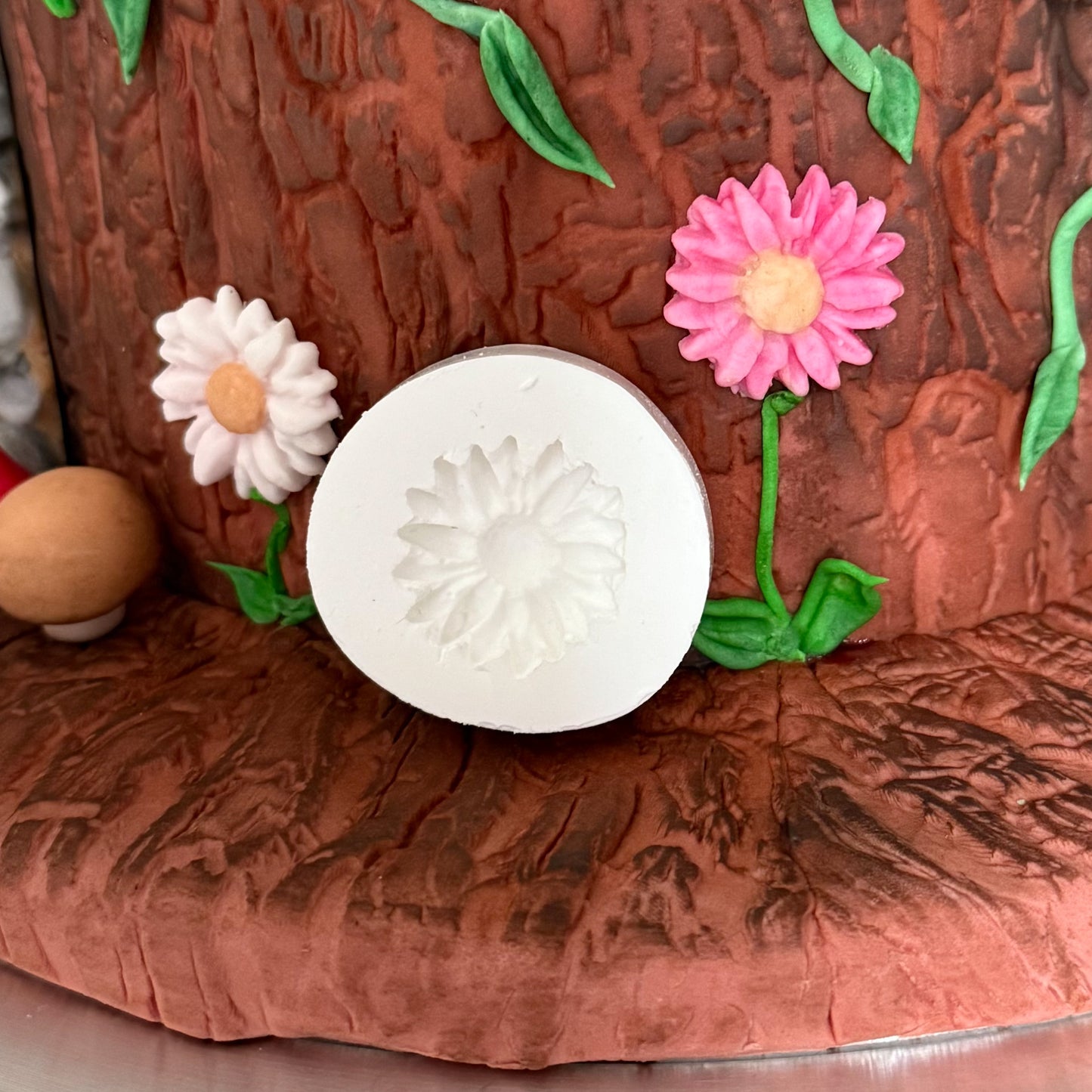 Daisy Mould by Miriam Pearson