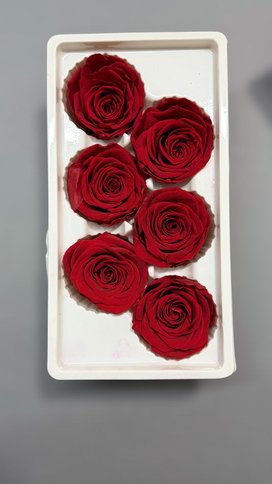 Preserved Red Roses 5-6cm (6 pack)