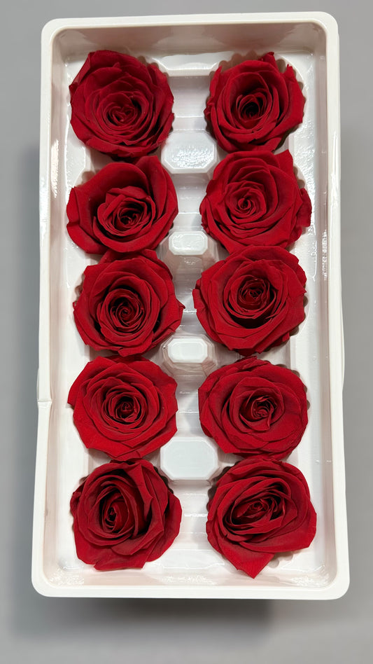 Preserved Red Roses 3-4cm (10 pack)