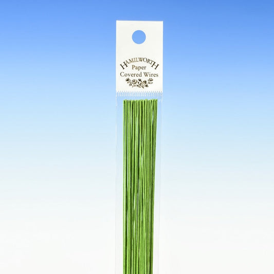 Hamilworth 24 Gauge - Nile Green Florist Wire x 25