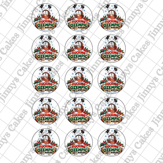 F*** Ozempic Christmas Digital Cupcake/8inch Cake Toppers SET (watermark removed on download)