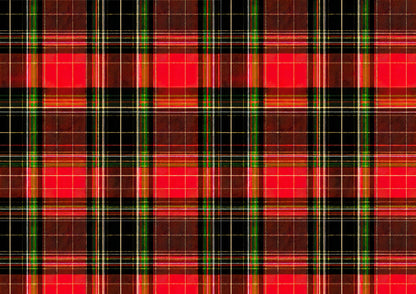 Wafer Paper Physical Tartan Guided Petal Sheet Medium Rose